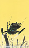 Star Watchmen